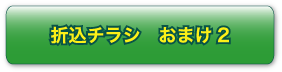 折込チラシ　おまけ2